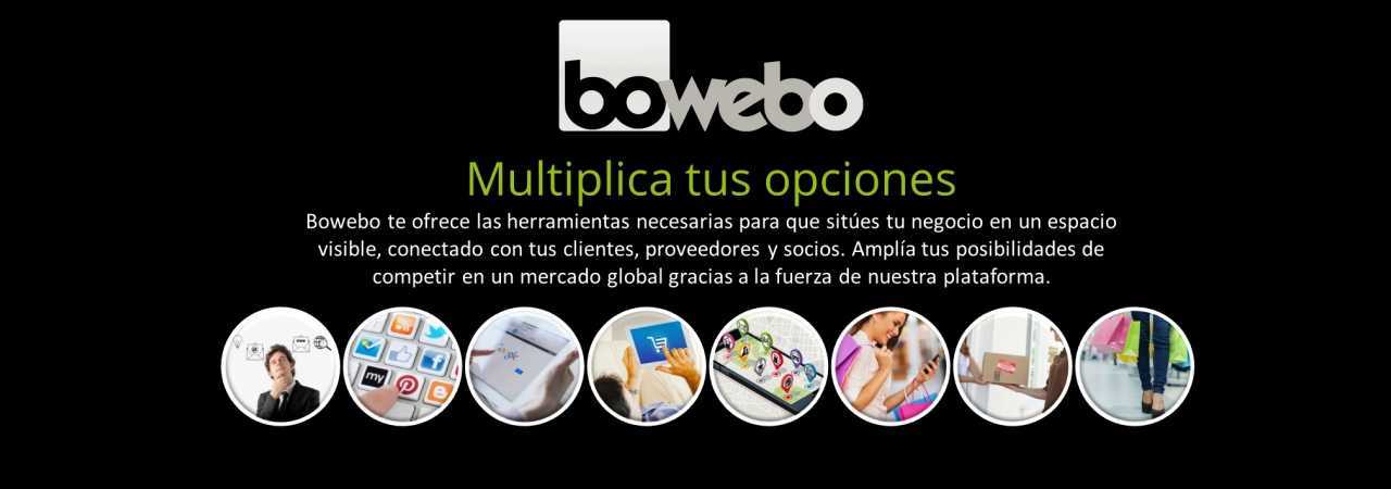 bowebo españa _ marketing digital y posicionamiento web